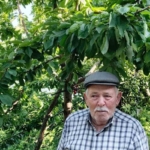 Ege bu yıl meyveye hasret 8 Ege bu yıl meyveye hasret