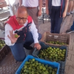 Germencik’te ilek tezgahları denetlendi 6 Germencik’te ilek tezgahları denetlendi