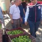 Germencik’te ilek tezgahları denetlendi 9 Germencik’te ilek tezgahları denetlendi