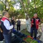 Germencik’te ilek tezgahları denetlendi 5 Germencik’te ilek tezgahları denetlendi