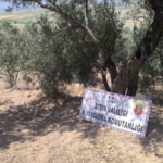 Kaçak kazı yapan 6 şüpheli suçüstü yakalandı 3 Kaçak kazı yapan 6 şüpheli suçüstü yakalandı