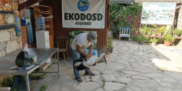 Kamyon çarpan leylek tedavi altına alındı, Başkan Sürücü ’dikkat’ çağrısı yaptı 5 Kamyon çarpan leylek tedavi altına alındı, Başkan Sürücü ’dikkat’ çağrısı yaptı
