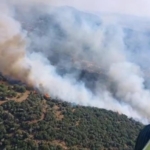 Karacasu Belediyesi’nden yangın uyarısı 1 Karacasu Belediyesi’nden yangın uyarısı
