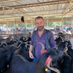 Karacasu’da kurban satış yerleri denetlendi 2 Karacasu’da kurban satış yerleri denetlendi