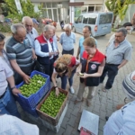 Karacasu’da üreticiye kaliteli ilek uyarısı 6 Karacasu’da üreticiye kaliteli ilek uyarısı