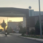 Kentin zirve noktasından yükselen kara dumanlar panikletti 9 Kentin zirve noktasından yükselen kara dumanlar panikletti