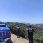 Koçarlı’da ormanlık ve piknik alanları denetlendi 2 Koçarlı’da ormanlık ve piknik alanları denetlendi