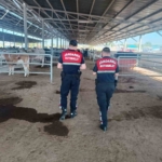 Kurban Bayramı öncesi jandarmadan vatandaşa dolandırıcılık uyarısı 5 Kurban Bayramı öncesi jandarmadan vatandaşa dolandırıcılık uyarısı