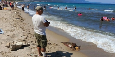 Kuşadası sahiline Caretta Caretta cinsi deniz kaplumbağası vurdu