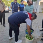 Kuyucak İlek Pazarı’nda denetim ve bilgilendirme 6 Kuyucak İlek Pazarı’nda denetim ve bilgilendirme