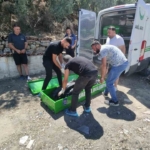 Mandalina bahçesinde ölü olarak bulundu 5 Mandalina bahçesinde ölü olarak bulundu