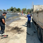 Mavişehir sahili temizlendi 2 Mavişehir sahili temizlendi