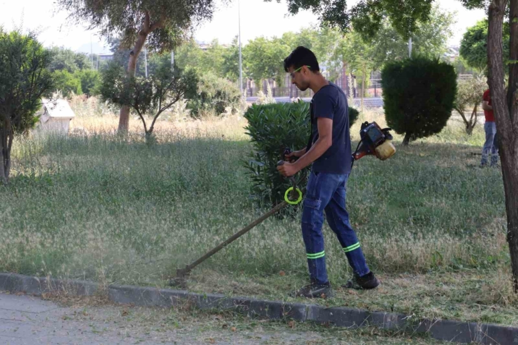 nazilli belediyesinden uygulamali mulakat c3dedcc976dc