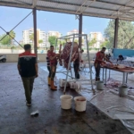 Nazilli İlçe Tarım ve Orman Müdürlüğü ekiplerinden bayramda yoğun mesai 1 Nazilli İlçe Tarım ve Orman Müdürlüğü ekiplerinden bayramda yoğun mesai
