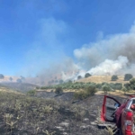 Nazilli’de zirai alan yangını 6 Nazilli’de zirai alan yangını