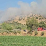 Nazilli’de zirai alan yangınına ekiplerin müdahalesi sürüyor 1 Nazilli’de zirai alan yangınına ekiplerin müdahalesi sürüyor