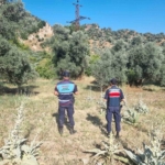 Ormanlık alanda mangal yakan 2 kişi yakalandı 1 Ormanlık alanda mangal yakan 2 kişi yakalandı
