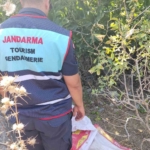 Sit alanında ilek toplarken yakalandılar 1 Sit alanında ilek toplarken yakalandılar