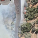 Söke’deki yangın kontrol altına alındı 1 Söke’deki yangın kontrol altına alındı