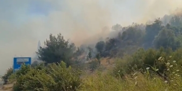 Söke’deki yangın ormana sıçradı