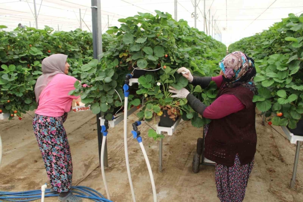 tarimi teknolojiyle birlestirdi yasitlarina ornek oldu 33ab7ea62512
