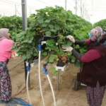 Köşk’te 201 araç sorgulandı 6 Tarımı, teknolojiyle birleştirdi yaşıtlarına örnek oldu