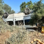 Ticari araç zeytinliğe uçtu: 1 ölü 5 Ticari araç zeytinliğe uçtu: 1 ölü