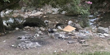 Yasağı delip ormanda mangal yaktılar, jandarmadan kaçamadılar