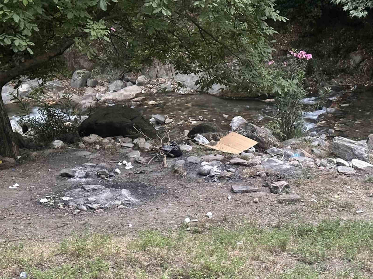 Yasağı delip ormanda mangal yaktılar, jandarmadan kaçamadılar