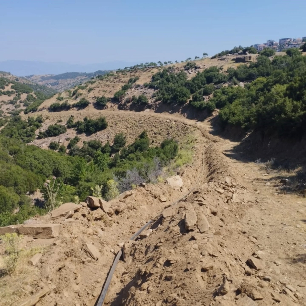 yenipazar koyunlarda calismalar devam ediyor 26c9dcc06381