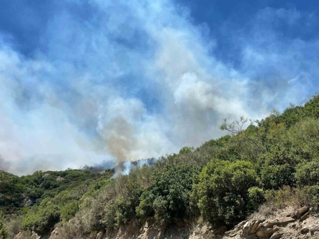 Zirai alanda başlayan yangın ormana sıçradı 2 zirai alanda baslayan yangin ormana sicradi 1a1dab76aada