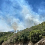 Zirai alanda başlayan yangın ormana sıçradı 1 Zirai alanda başlayan yangın ormana sıçradı