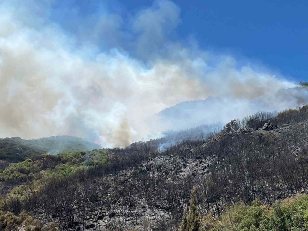 Zirai alanda başlayan yangın ormana sıçradı 5 zirai alanda baslayan yangin ormana sicradi f6eb489f215f