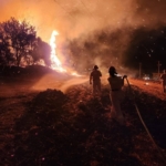 AKUT Kuşadası, İzmir’deki orman yangınlarına müdahale çalışmalarına destek veriyor 10 AKUT Kuşadası, İzmir’deki orman yangınlarına müdahale çalışmalarına destek veriyor