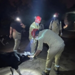 AKUT Kuşadası, İzmir’deki orman yangınlarına müdahale çalışmalarına destek veriyor 7 AKUT Kuşadası, İzmir’deki orman yangınlarına müdahale çalışmalarına destek veriyor
