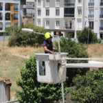 Aydın’da balkonda sıkışan kumruyu vatandaşın dikkati kurtardı 4 Aydın’da balkonda sıkışan kumruyu vatandaşın dikkati kurtardı