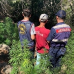 Aydın’da uyuşturucu operasyonu: 14 şüpheli yakalandı 5 Aydın’da uyuşturucu operasyonu: 14 şüpheli yakalandı