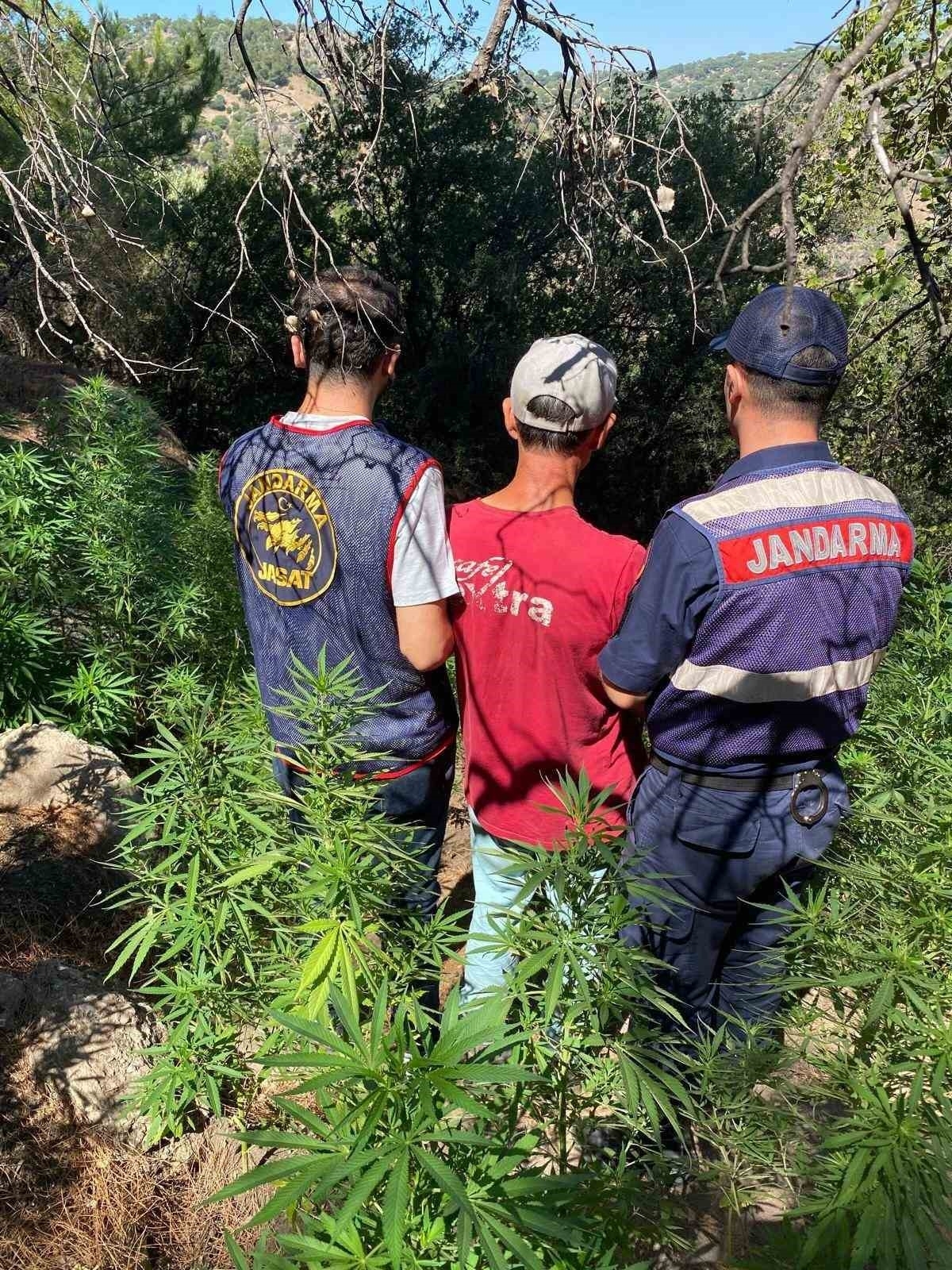 Aydın’da uyuşturucu operasyonu: 14 şüpheli yakalandı