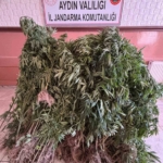 Aydın’da uyuşturucu tacirlerine operasyon 1 Aydın’da uyuşturucu tacirlerine operasyon