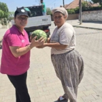 Bağışlanan karpuzlar Germencik’te dağıtıldı 3 Bağışlanan karpuzlar Germencik’te dağıtıldı