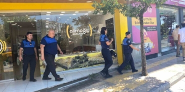 Baklavacıdaki fare görüntüsü mide bulandırdı