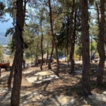 Bozdoğan’da yangın önlemi 2 Bozdoğan’da yangın önlemi