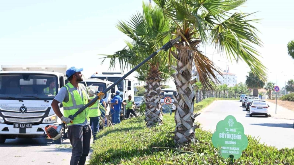 buyuksehirden didimde bakim ve onarim calismasi 4350b8cb8c1e