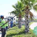 Büyükşehir’den Didim’de bakım ve onarım çalışması 3 Büyükşehir’den Didim’de bakım ve onarım çalışması