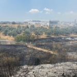 Çift sürülen tarla yangında zarar görmedi 1 Çift sürülen tarla yangında zarar görmedi