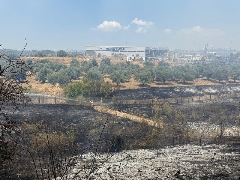 Çift sürülen tarla yangında zarar görmedi