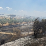 Çift sürülen tarla yangında zarar görmedi 3 Çift sürülen tarla yangında zarar görmedi