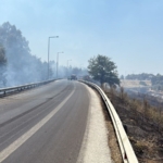 Çift sürülen tarla yangında zarar görmedi 2 Çift sürülen tarla yangında zarar görmedi