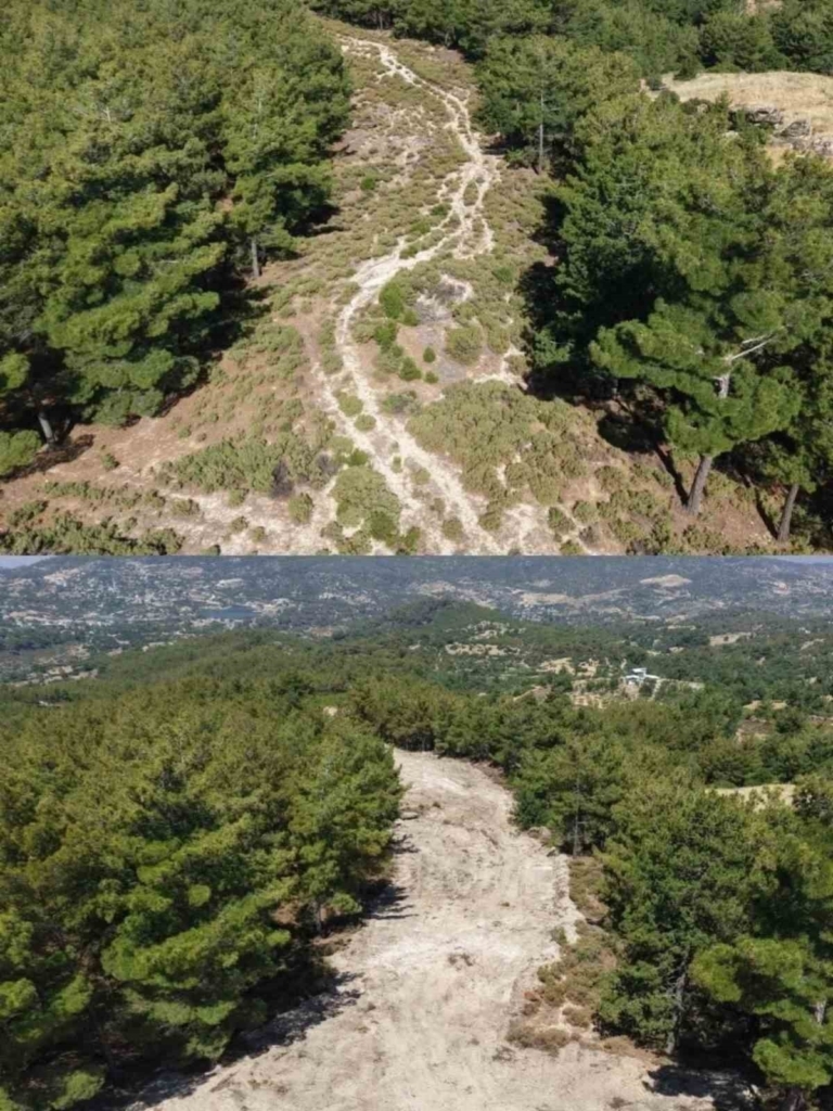 cinede orman yanginlarina karsi onleyici temizlik calismasi yapildi 9019d64060c3