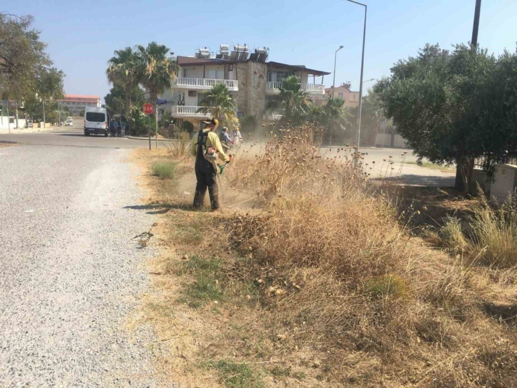 Didim genelinde temizlik ve yeşil alan bakımları yaz boyunca devam edecek 2 didim genelinde temizlik ve yesil alan bakimlari yaz boyunca devam edecek 4205c0002ced